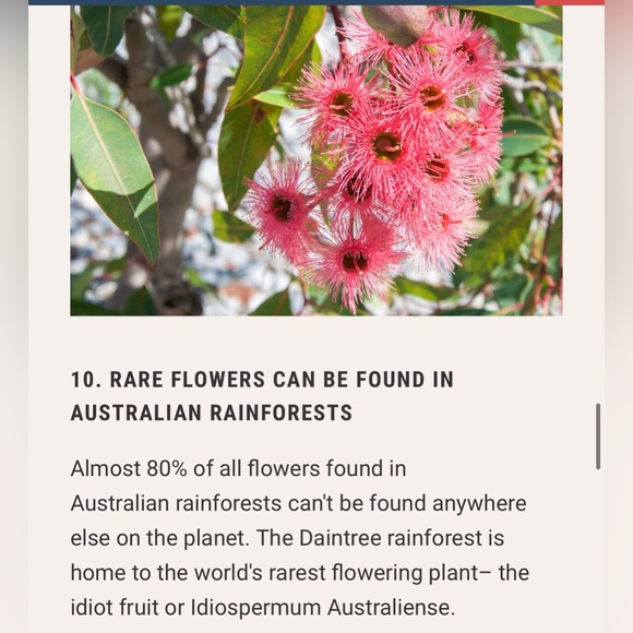 #4 LIKE LISTING #5 Comments Full - Picture 6 of 16